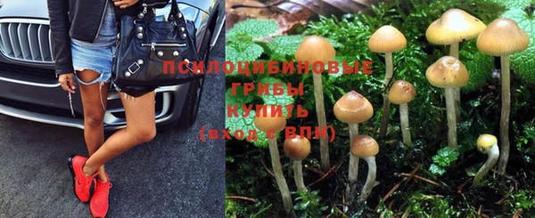 хмурый Михайловск