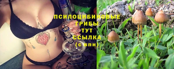 марки nbome Михайлов