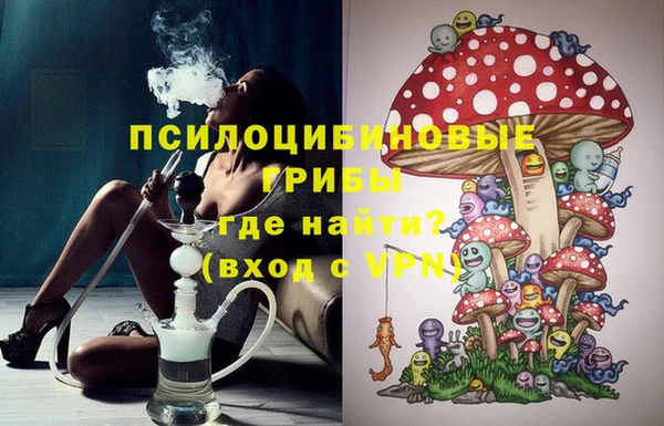 ешки Мегион