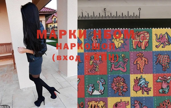 хмурый Михайловск