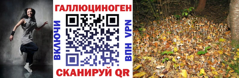 Галлюциногенные грибы мицелий  продажа наркотиков  Миллерово 