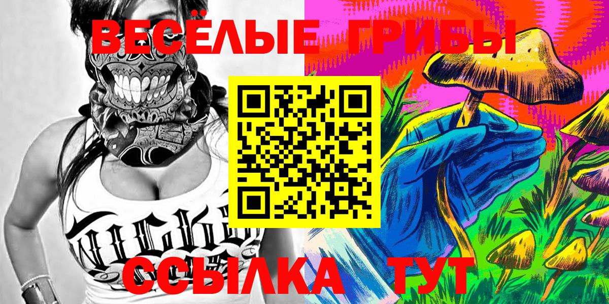Псилоцибиновые грибы мухоморы  Галлюциногенные грибы Psilocybine cubensis  Миллерово  купить закладку  Вход с VPN 