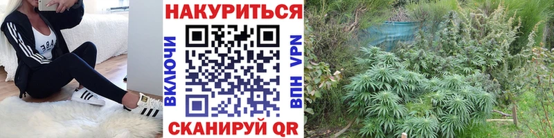 Конопля Amnesia  Миллерово 